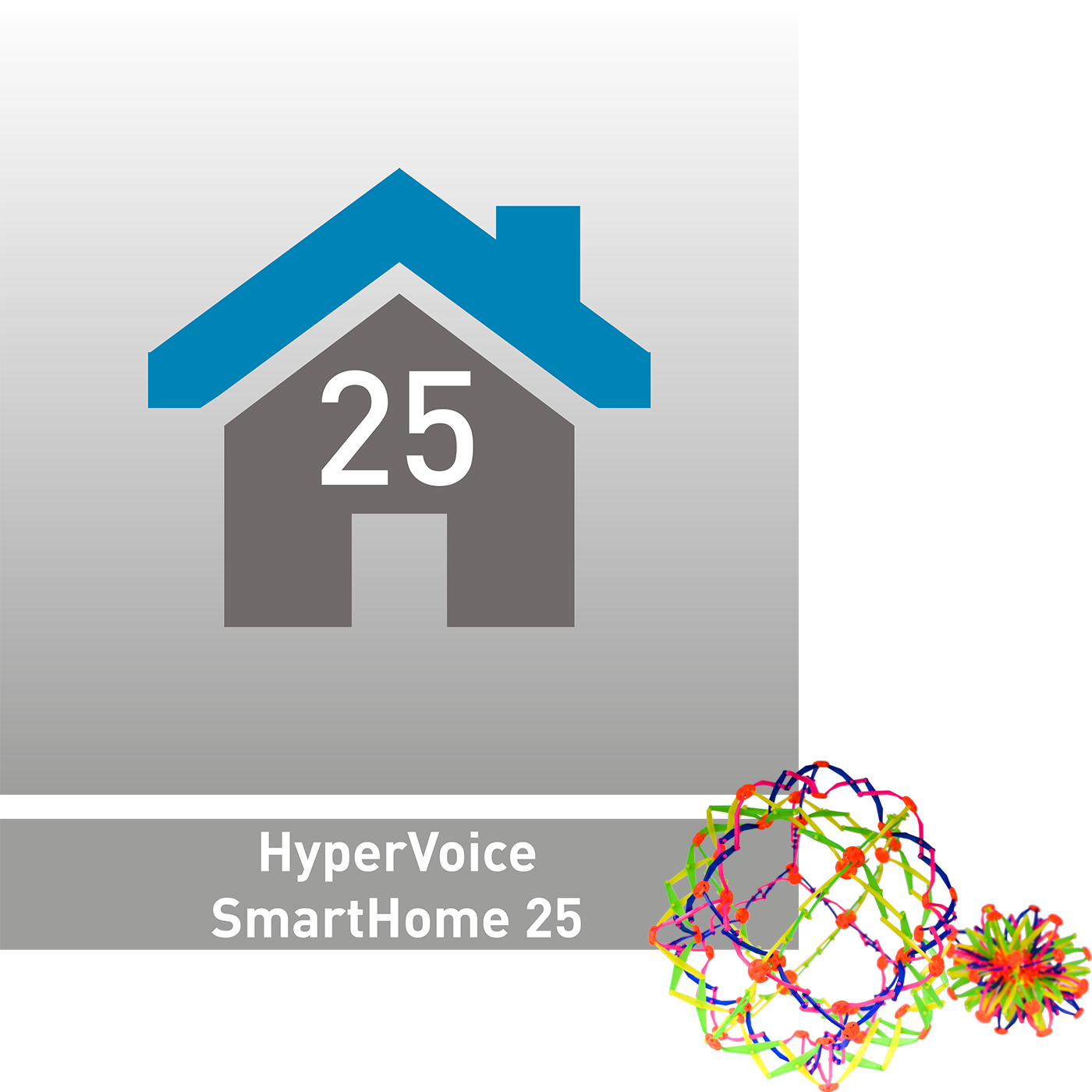 HyperVoice365 SmartHome 25 Lizenz