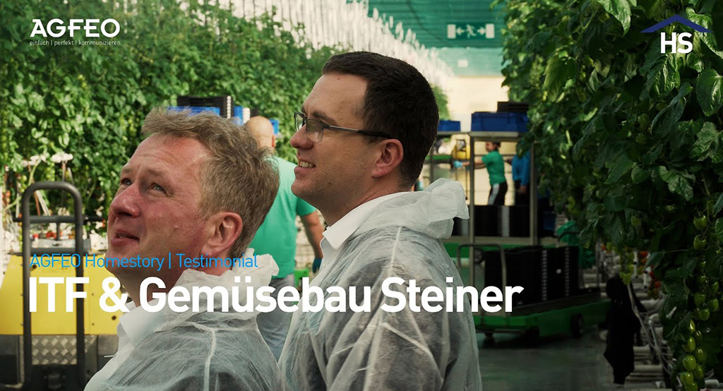 ThumbnailSteiner